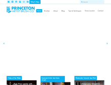 Tablet Screenshot of princetonbrush.com